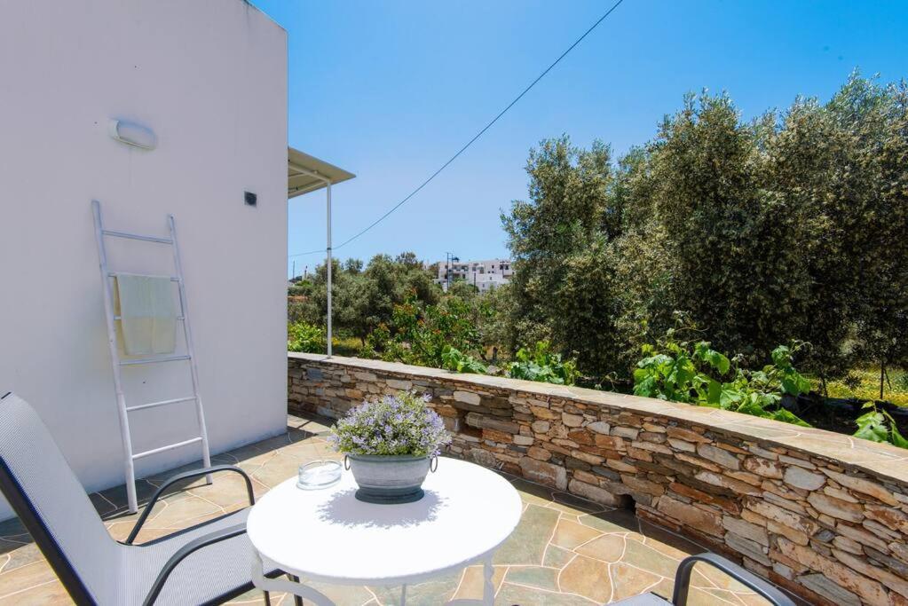 Margarita Apartment
